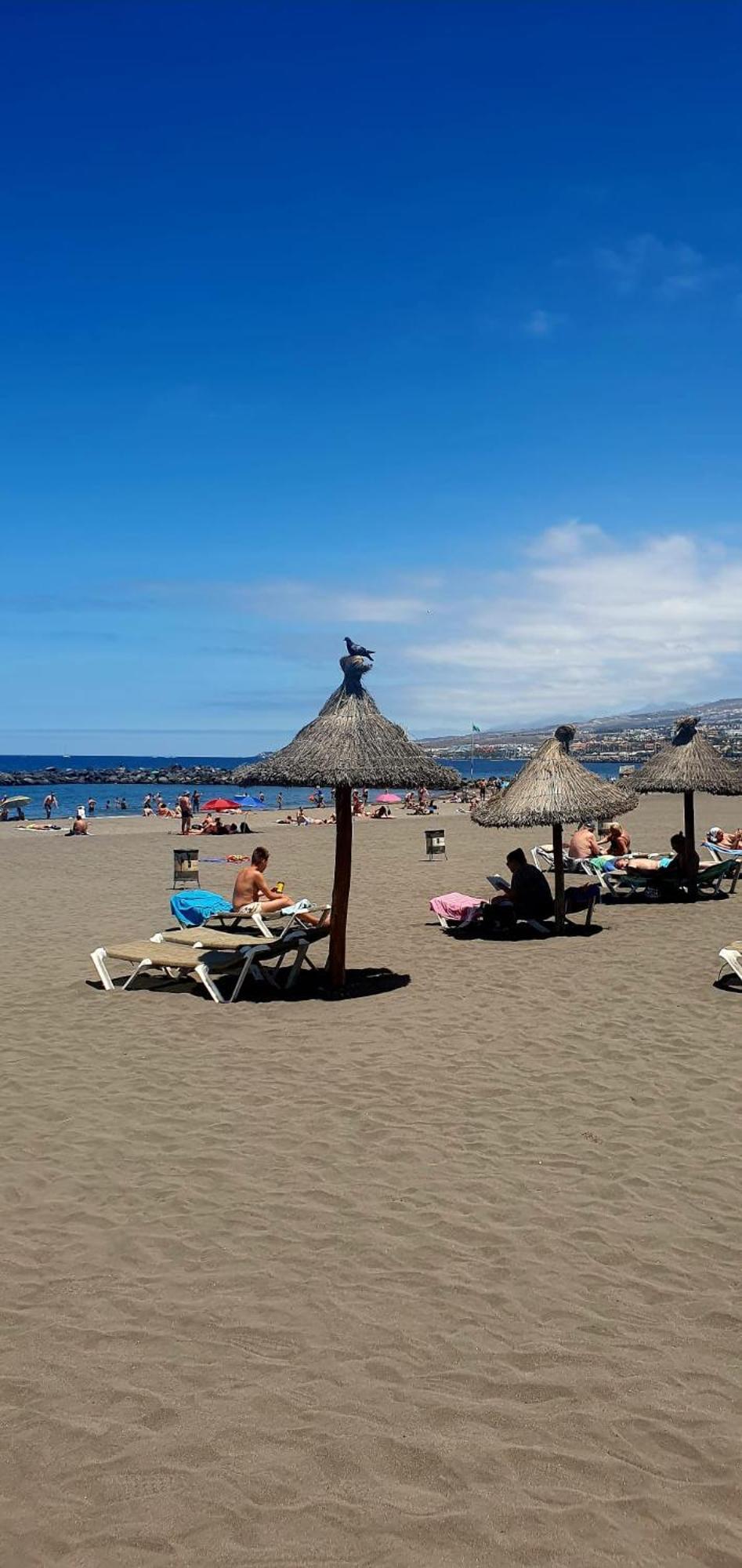 Wonderful White Appartament In Las Tortugas Playa de las Americas  Luaran gambar