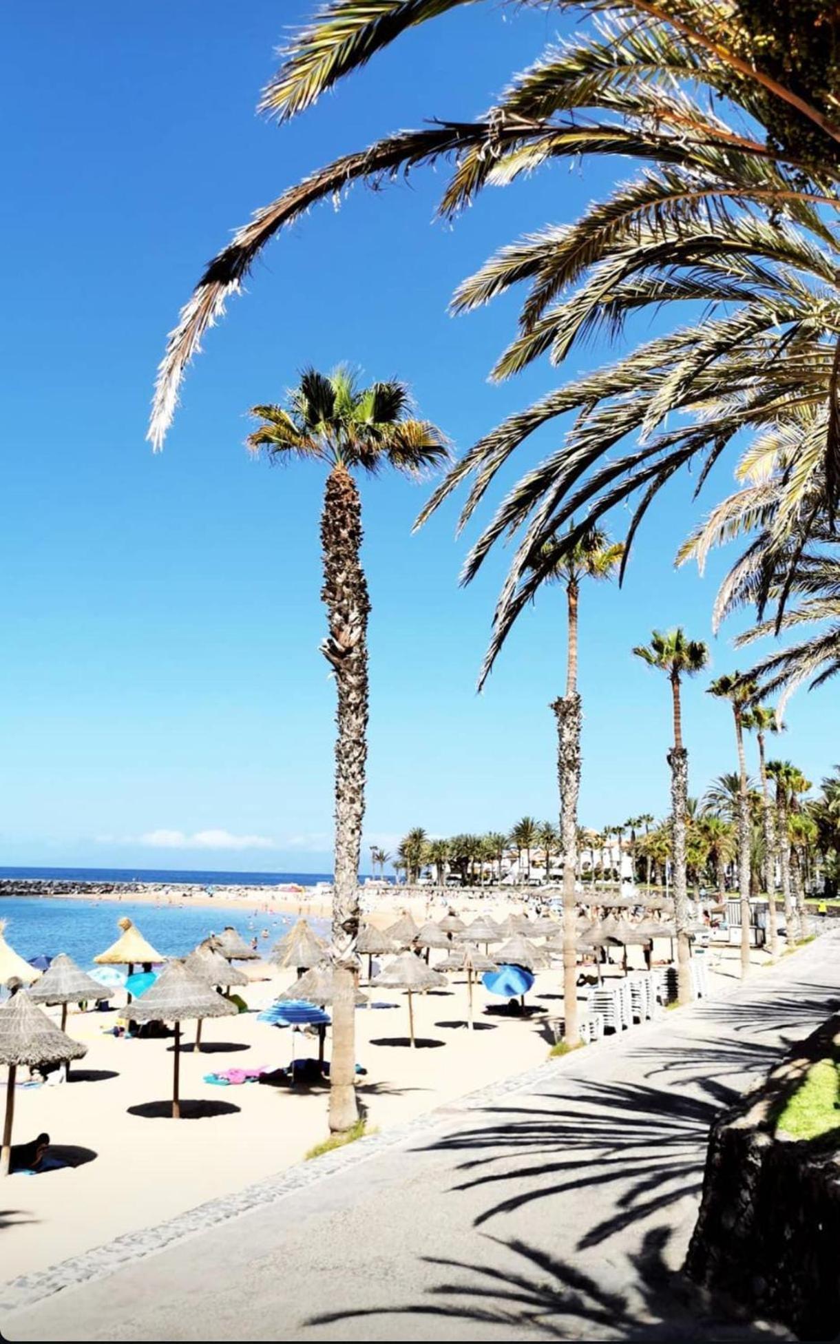 Wonderful White Appartament In Las Tortugas Playa de las Americas  Luaran gambar