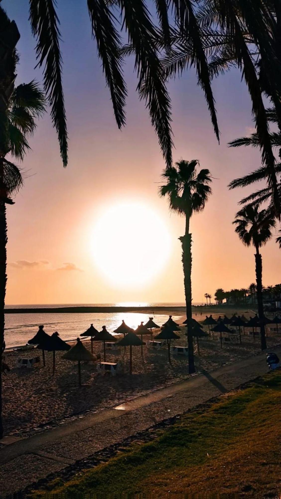 Wonderful White Appartament In Las Tortugas Playa de las Americas  Luaran gambar